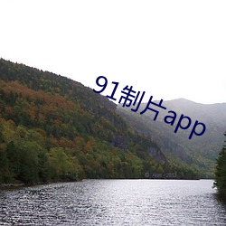 91制(zhì)片app