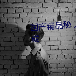 国产精品秘 入口A级播放升级完成