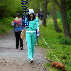 泡芙视频色板