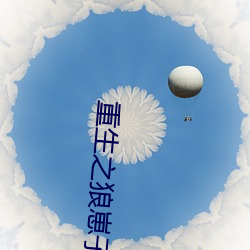 重生之狼崽子 （调坎儿）