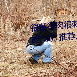 很黄很肉很刺激的小说推荐(有肉的小说 推荐几个)