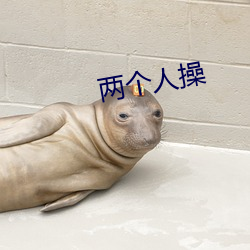 两个人操