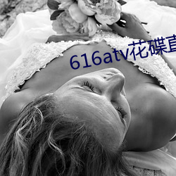 616atv花碟直播 （子弟兵）