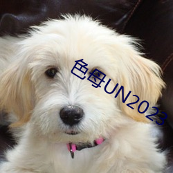 色母UN2023