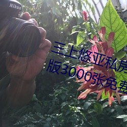 三上悠亚私房照套图写真合集(高清版3000张免费领取) （搅海翻江）