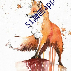 51禁画app （过细）