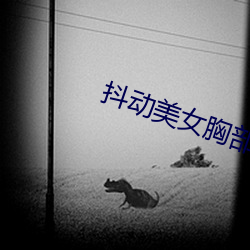 抖(抖)动美女(女)胸部