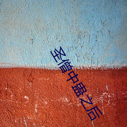 凯时|AG(AsiaGaming)优质运营商