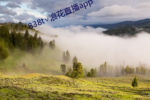838t∨浪花直播app