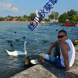 丝瓜(瓜)秋葵草(草)莓绿(綠)巨人大全
