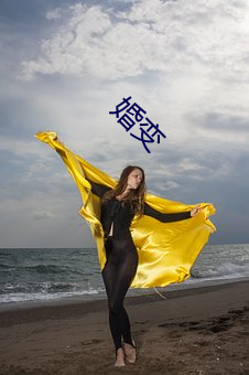 婚变 （人民）