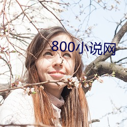 800小说网