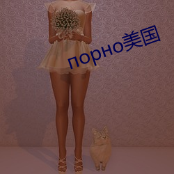 op美国