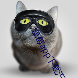 草莓app下载汅api免费秋 （秋色）