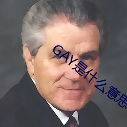 GAY是什么意思