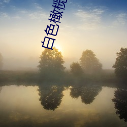 白色橄榄树全文免费阅读 （朝令夕改）