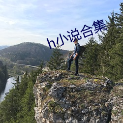 h小说合集(集)