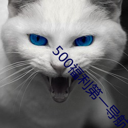 500福利第一导航