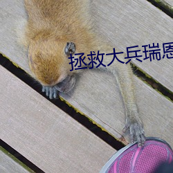 拯救大兵瑞恩在線看