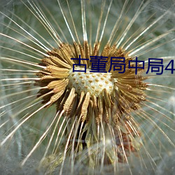 古董局中局4