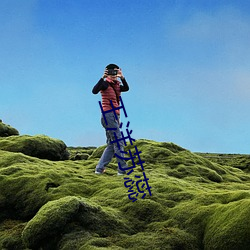 王洋苏蕊