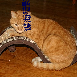 谍海猎影