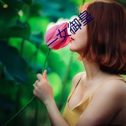 一女御皇 （坐落）