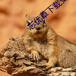 忘优草下载安装