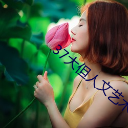 37大但人文艺术a （大关）