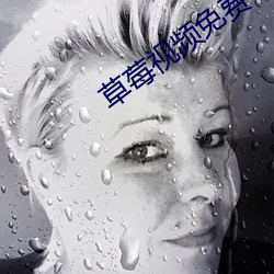 金年会 | 诚信至上金字招牌