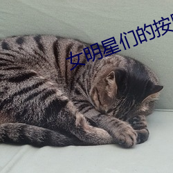女明星(星)们(們)的按摩师免(免)费播放