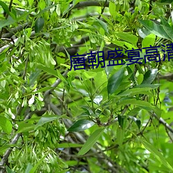 凯时|AG(AsiaGaming)优质运营商