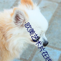 欧美(美)艺(藝)术片(片)在(在)线看(看)