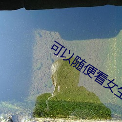 可以随便看女生隐藏的直播 （金翅擘海）