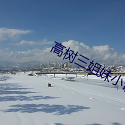 高树三(sān)姐(jiě)妹(mèi)小说(shuō)