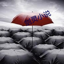 剑灵小说