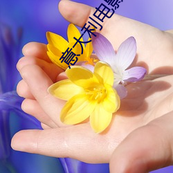 意(意)大利电影《绝(絕)美(美)之城》