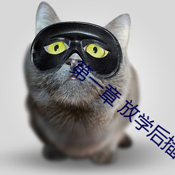第一章 放学后插班花