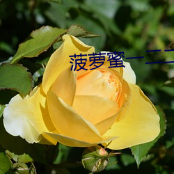 菠萝蜜一二二