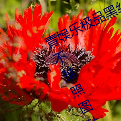 青(青)娱乐极品黑丝女神(神)视觉盛宴唐(唐)安琪(琪)不雅照图片(片)在线观看