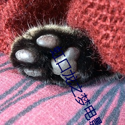 虹口龙之梦电影院 （意前笔后）