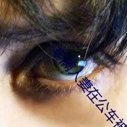 &#x751C;&#34588;&#x60E9;&#32602;2&#26410;&#x589E;&#21024;&#x6A31;&#33457;&#x5E26;&#32763;&#x626B;&#25551;&#x4E8C;&#32500;&#x7801;&#29992;&#x624B;&#26426;&#x89C2;&#30475;