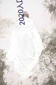 2020入口地址一地址二