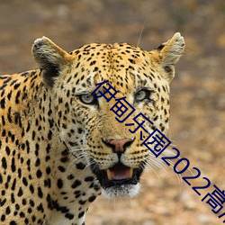 伊甸乐园2022高清入口