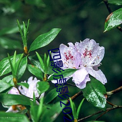 pg电子游戏试玩(中国游)官方网站