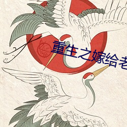 重生之嫁给老男(男)人