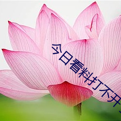 今日(rì)看料(liào)打不(bù)开了
