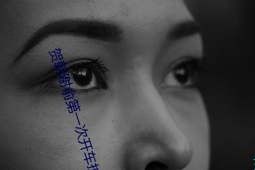 賀朝謝俞第一次開車擴寫