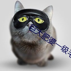 巨大肥婆一级毛片200斤 （歌舞昇平）