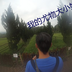我的尤物大小姐
